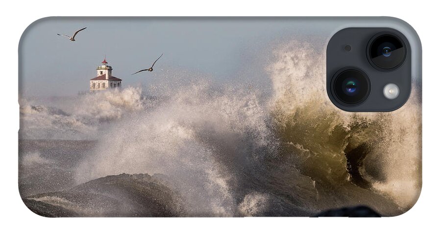 Oswego iPhone Case featuring the photograph Rise Above The Turbulence by Everet Regal