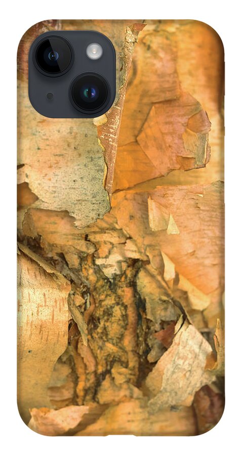 River Birch Tree iPhone 14 Case featuring the photograph River Birch by Tom Singleton