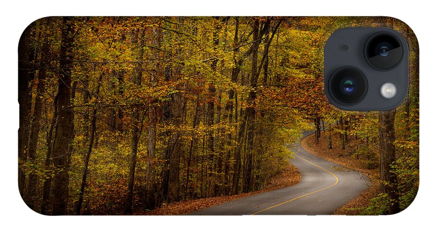 Tishomingo iPhone Case featuring the photograph Road through Tishomingo State Park by T Lowry Wilson