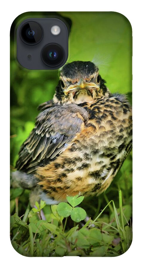 Robin iPhone 14 Case featuring the photograph Robin Fledgling by Smilin Eyes Treasures