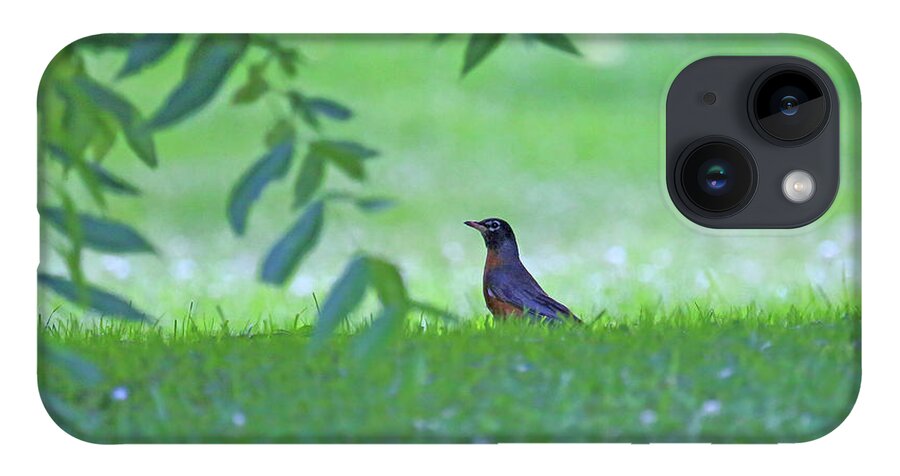 Robin In Grass iPhone 14 Case featuring the photograph Robin in Grass by PJQandFriends Photography