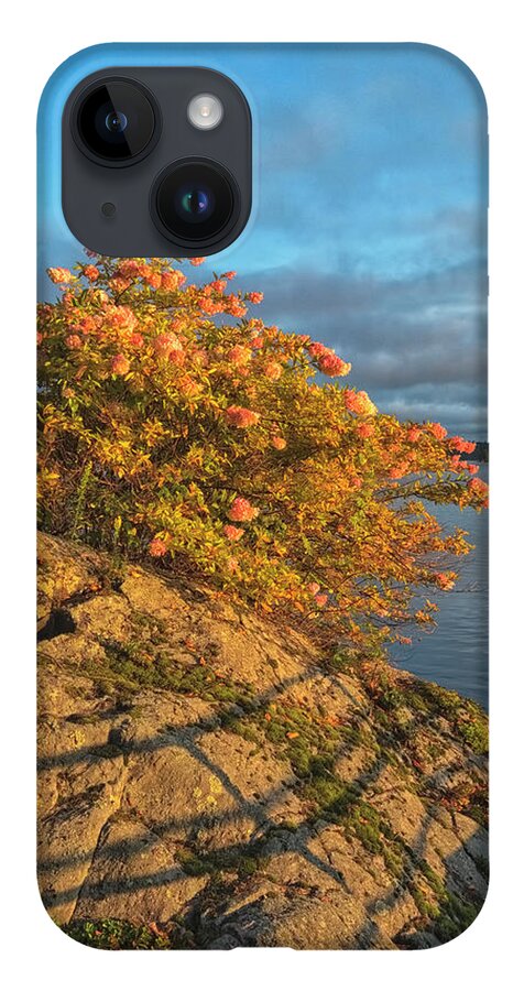 St Lawrence Seaway iPhone 14 Case featuring the photograph Rock And Hydrangeas by Tom Singleton