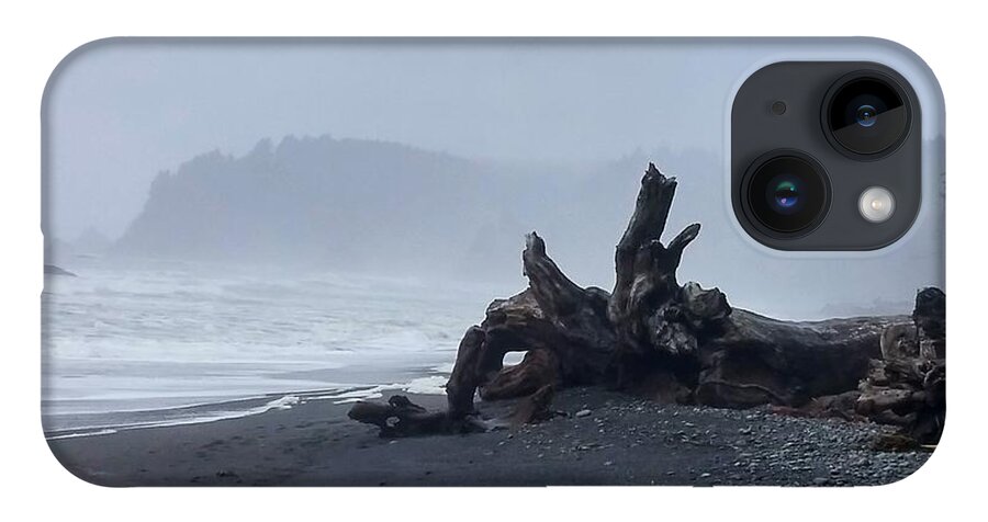 Rialto Beach iPhone 14 Case featuring the photograph Roots Touch Pacific by Alexis King-Glandon