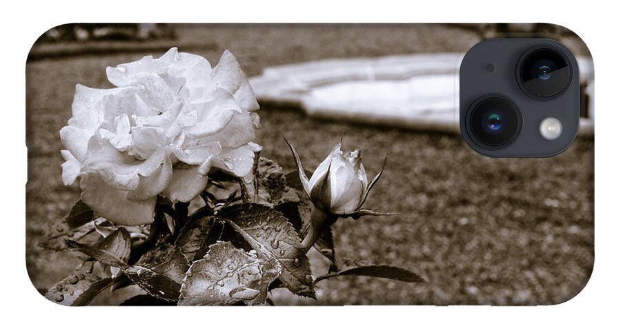 Buffalo Architecture iPhone 14 Case featuring the photograph Rose Garden Monochrome by Chris Bordeleau