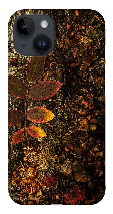 Fall iPhone 14 Case featuring the photograph Rose Leaf and the forest floor by Fred Denner