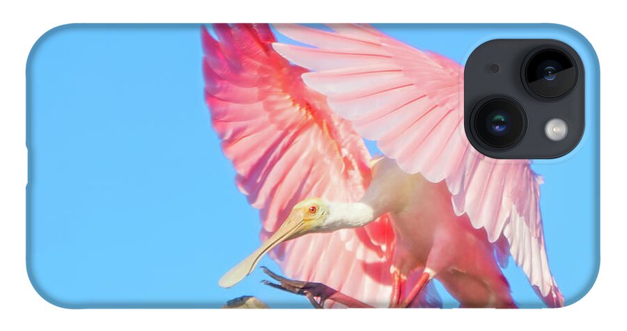 Spoonbill iPhone 14 Case featuring the photograph Roseate Spoonbill Landing by Mark Andrew Thomas