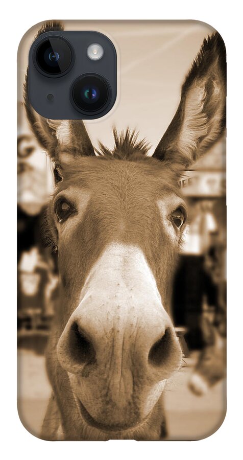 Route 66 iPhone 14 Case featuring the photograph Route 66 - Oatman Donkeys by Mike McGlothlen