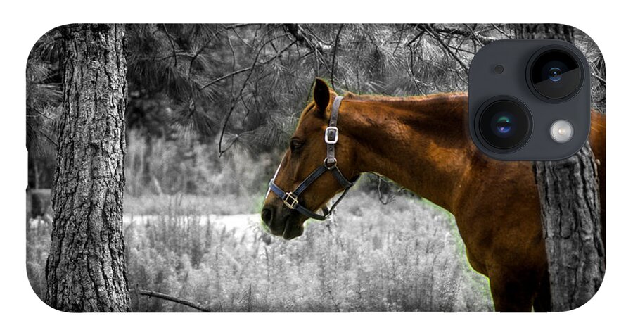 Horse iPhone 14 Case featuring the photograph Samson by Randy Sylvia