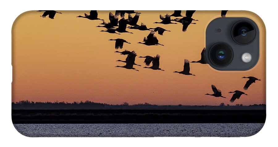 Kansas iPhone 14 Case featuring the photograph Sandhill Cranes at Sunrise 01 by Rob Graham