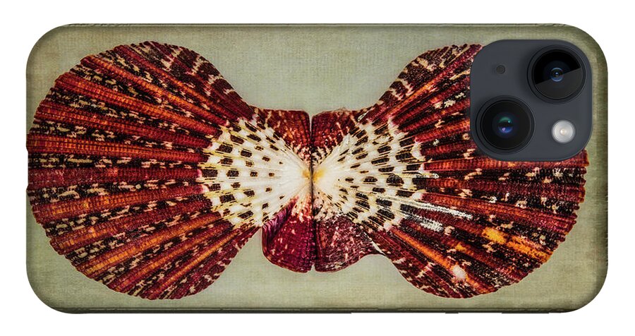 Fine Art Photography iPhone 14 Case featuring the photograph Scallop Shell by John Strong