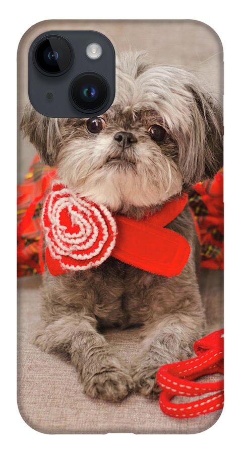 Dog Photography iPhone Case featuring the photograph Scarlett and Red Purse by Irina ArchAngelSkaya