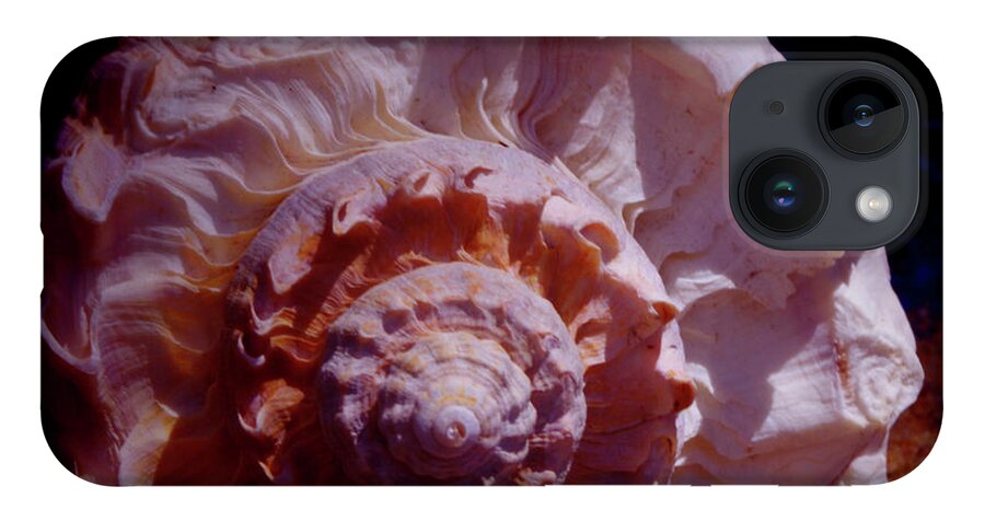 Shell iPhone 14 Case featuring the photograph Sea Treasure by Bess Carter