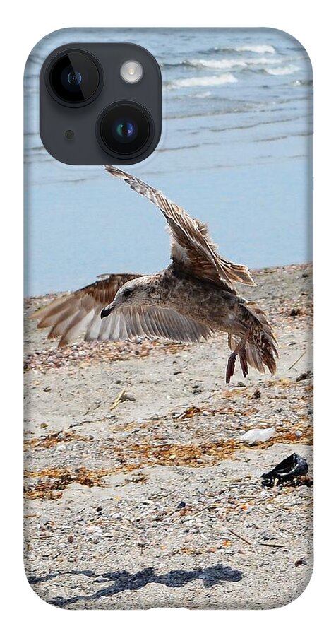 Beach iPhone Case featuring the photograph Seagull and Shadow by Dani McEvoy