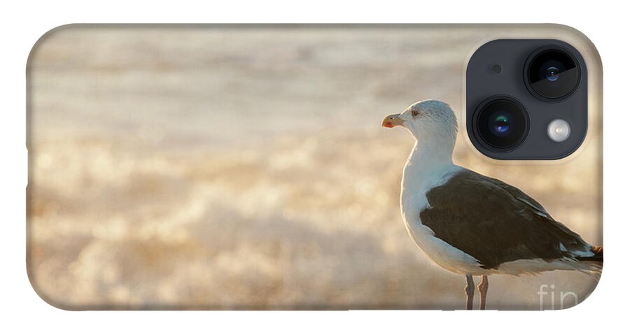 Beach iPhone 14 Case featuring the photograph Seagull at Sunrise by Michael James