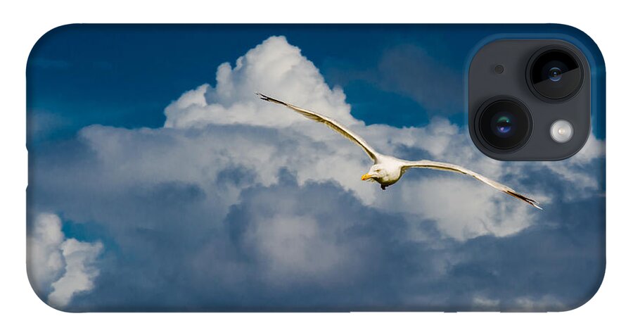 Seagull iPhone Case featuring the photograph Seagull High Over the Clouds by Andreas Berthold