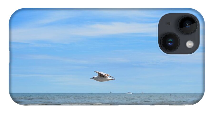 Seagull iPhone Case featuring the photograph Seagull in Flight by Dani McEvoy