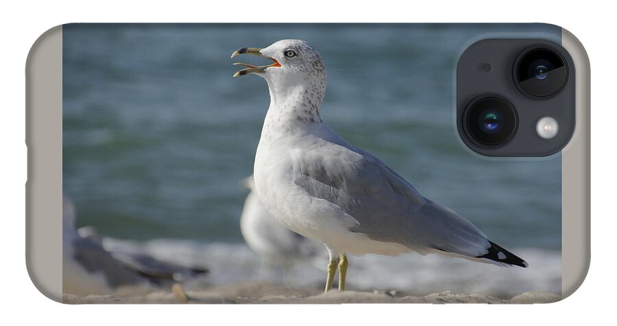 Seagull iPhone 14 Case featuring the photograph Seagull on Lake Erie Beach by Valerie Collins