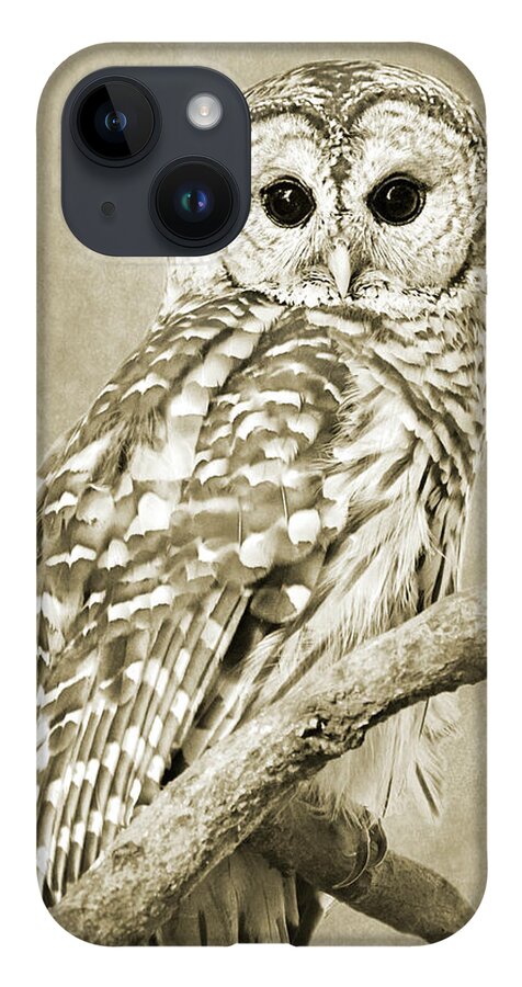 Owl iPhone 14 Case featuring the photograph Sepia Owl by Christina Rollo