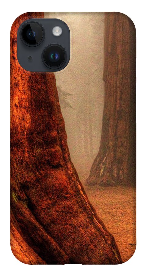 California iPhone Case featuring the photograph Sequoias touching the Clouds by Roger Passman