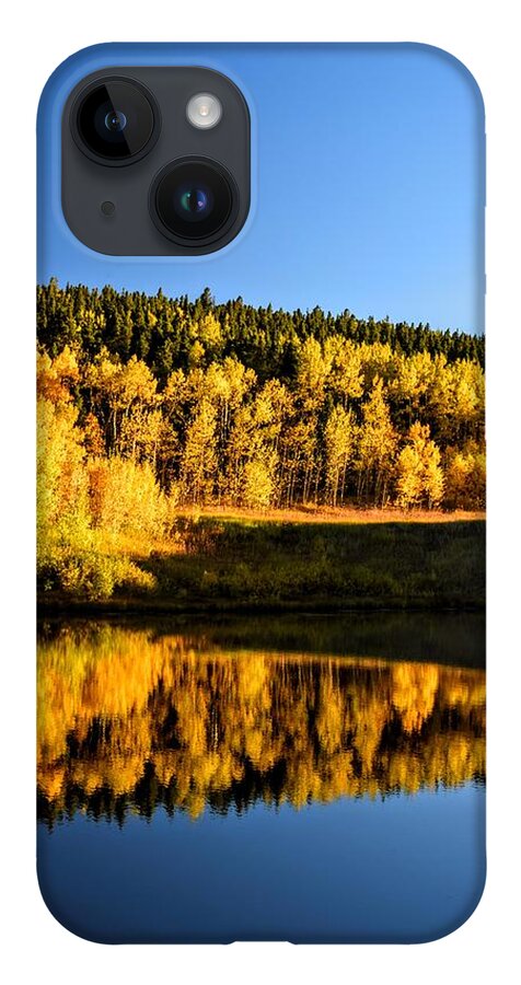 Golden Aspen Trees iPhone 14 Case featuring the photograph Settling Gold by Michael Brungardt