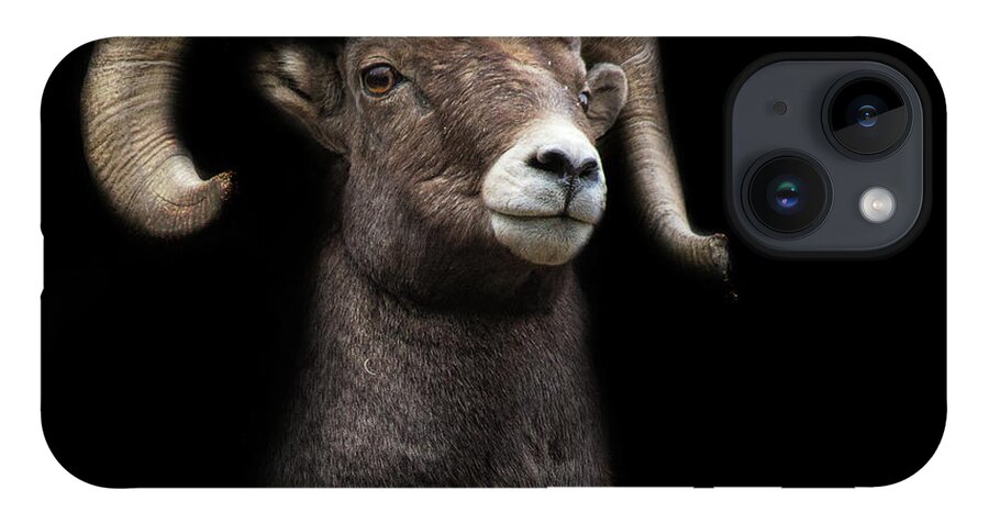 Bighorn iPhone 14 Case featuring the photograph Shadowland by Jim Garrison
