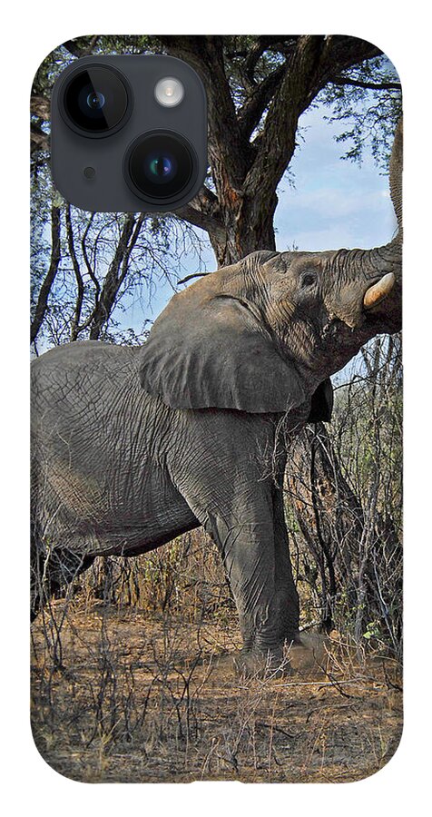 Elephant iPhone 14 Case featuring the photograph Shake the Trees by Ted Keller