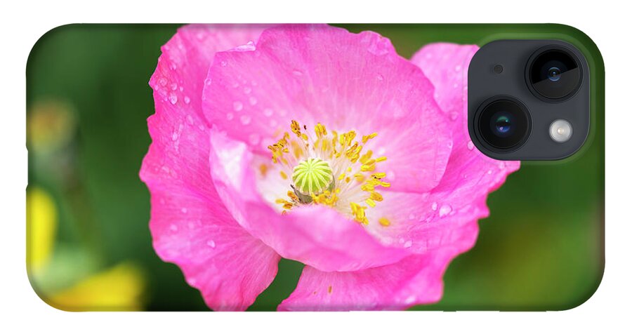 Shirley Poppy iPhone 14 Case featuring the photograph Shirley Poppy 2018-7 by Thomas Young