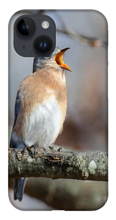 Bluebird iPhone 14 Case featuring the photograph Singing This Song For You by Amy Porter
