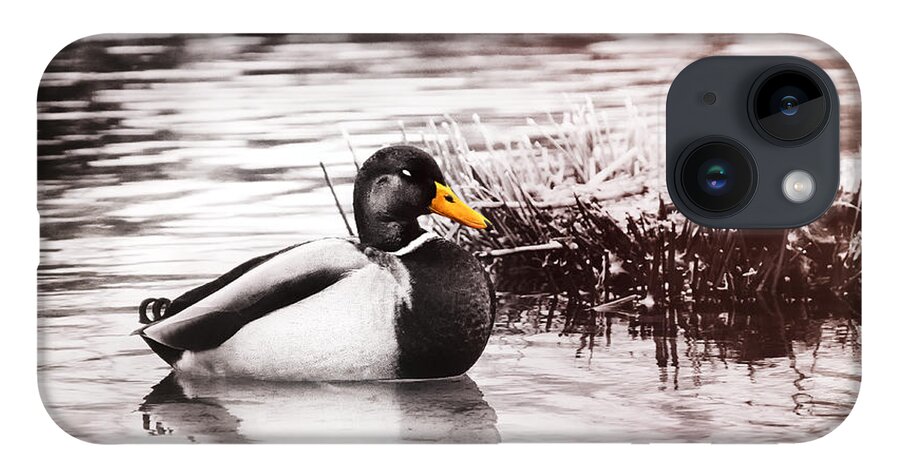 Duck iPhone Case featuring the photograph Sleeping Duck by Jaroslav Buna