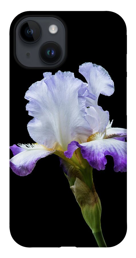 Iris iPhone 14 Case featuring the photograph Small Purple and White Iris by M