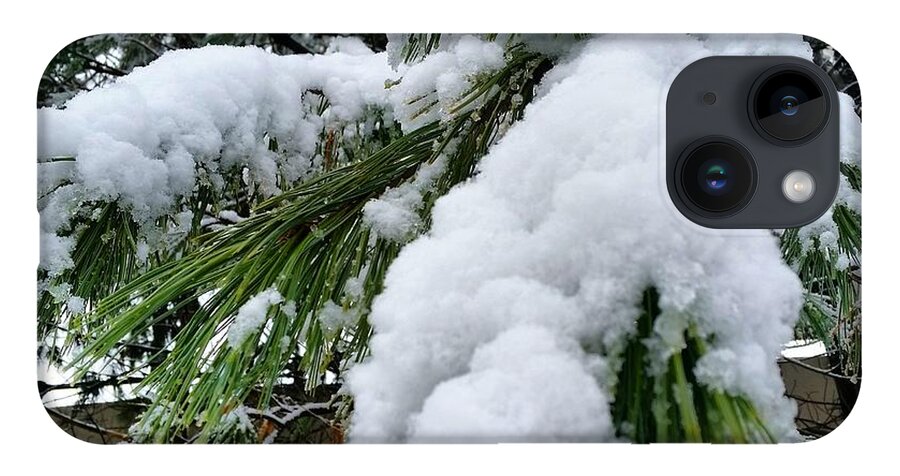 Snow iPhone 14 Case featuring the photograph Snow on Evergreen Branch by Vic Ritchey
