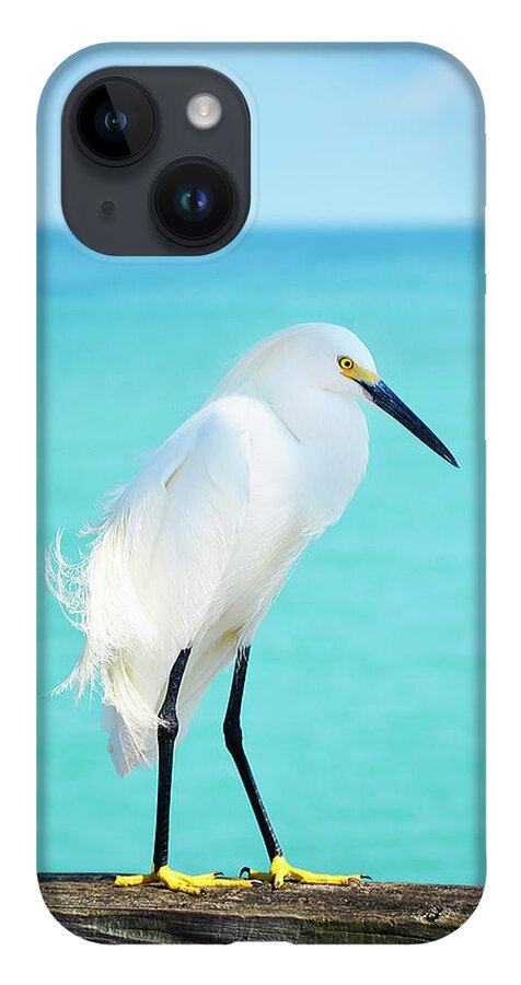 Bird iPhone 14 Case featuring the photograph Snowy Egret by Jennifer Wright