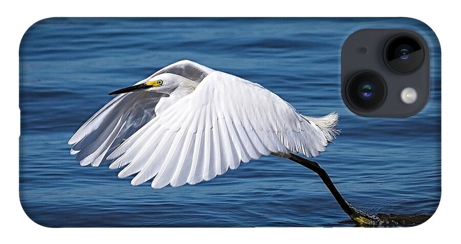 Egret iPhone Case featuring the photograph Snowy Liftoff by DB Hayes