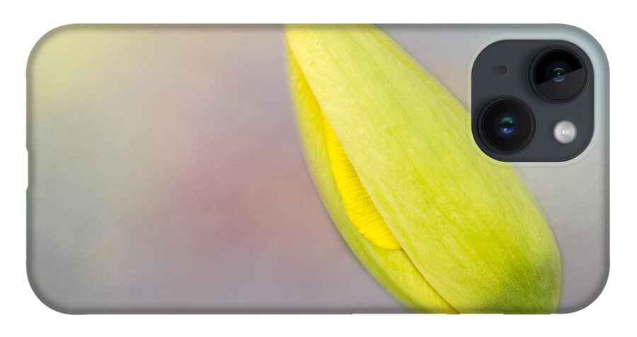 Tulip iPhone Case featuring the photograph Soon A Tulip by Cathy Kovarik