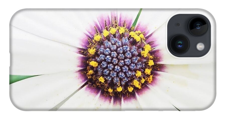 White iPhone 14 Case featuring the photograph Soprano White by Phil Spitze