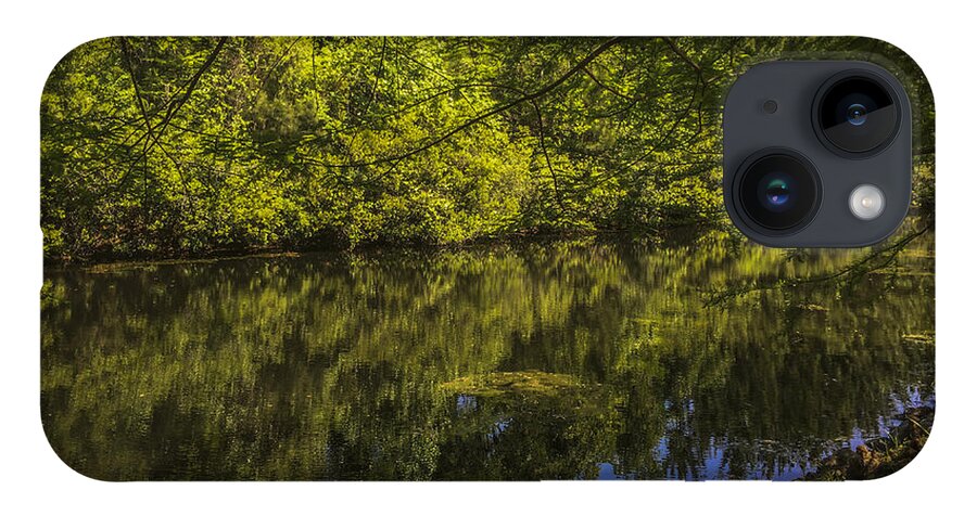 Pond iPhone Case featuring the photograph Southern Still Waters by Dale Powell