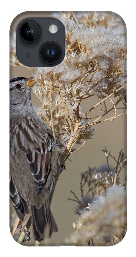 Bird iPhone 14 Case featuring the photograph Sparrow by Ron Woodbury