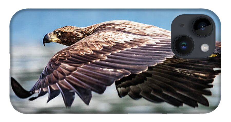 Bird iPhone 14 Case featuring the photograph Speeding by Bruce Bonnett