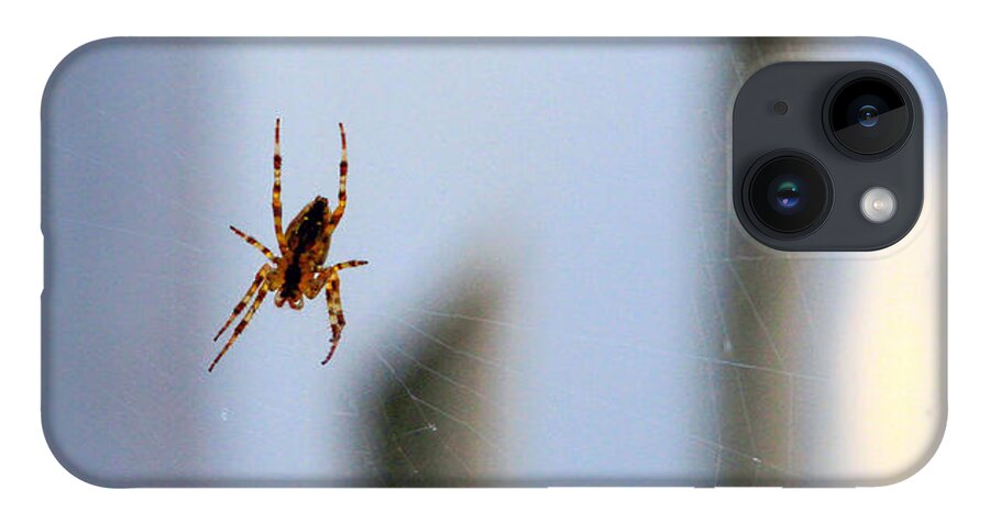 Bonnie Follett iPhone 14 Case featuring the photograph Spider Hello Panorama by Bonnie Follett