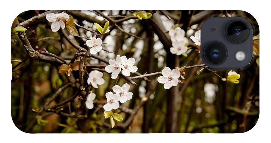 Bare iPhone Case featuring the photograph Spring bloom. by Elena Perelman