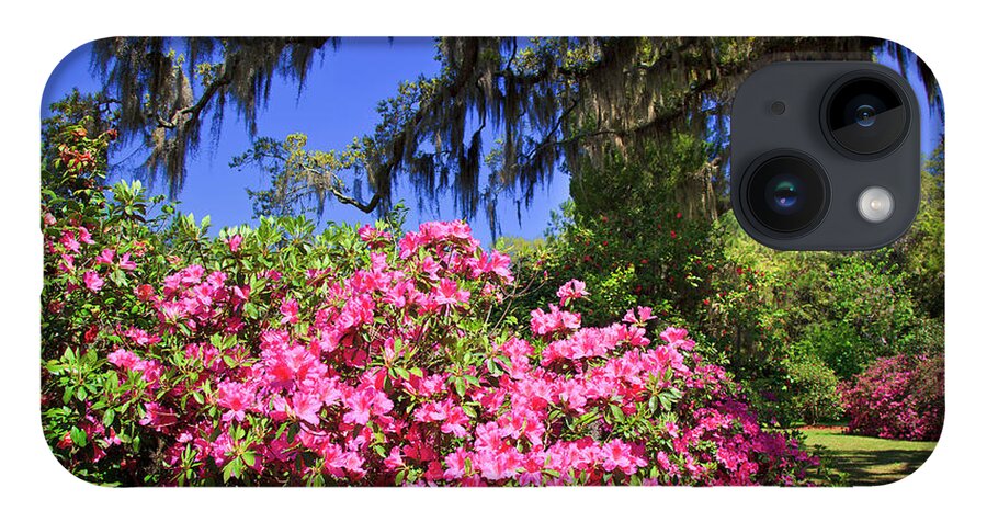 Pink iPhone Case featuring the photograph Spring in the South by Jill Lang