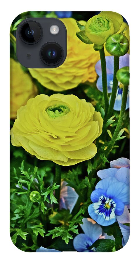 Ranunculus iPhone 14 Case featuring the photograph Spring Show 18 Persian Buttercup with Horned Viola by Janis Senungetuk