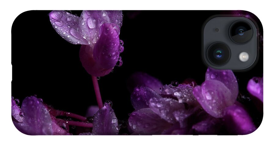 Redbud iPhone 14 Case featuring the photograph Spring Time Redbud 5 by Mike Eingle