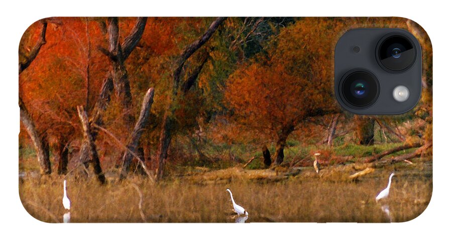 Landscape iPhone 14 Case featuring the photograph Squaw Creek Egrets by Steve Karol