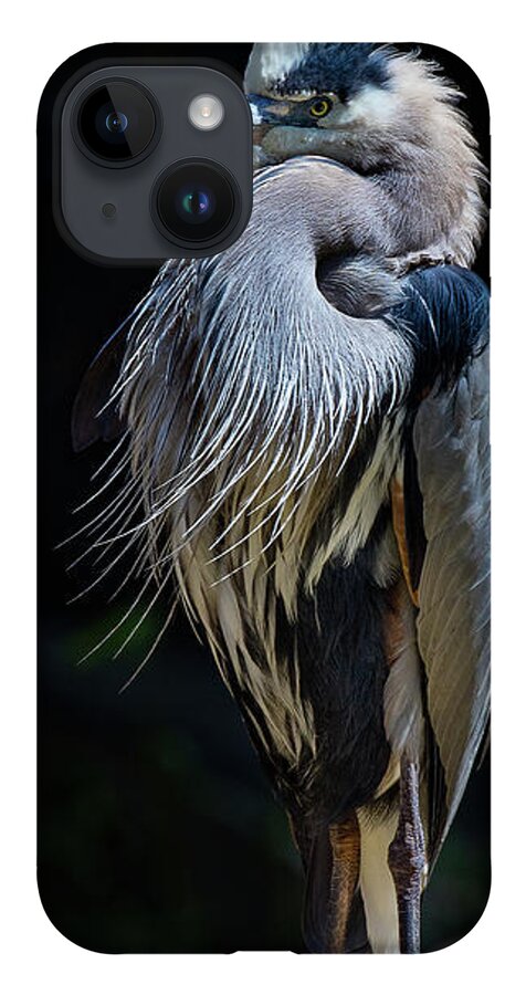 Birds iPhone 14 Case featuring the photograph Standing Guard by Bruce Bonnett
