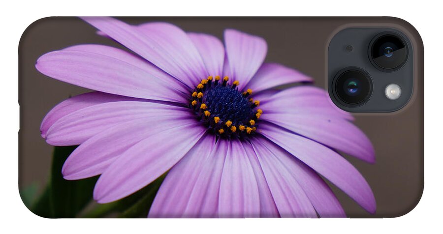 Flower iPhone 14 Case featuring the photograph Standing Out by Pamela Walton
