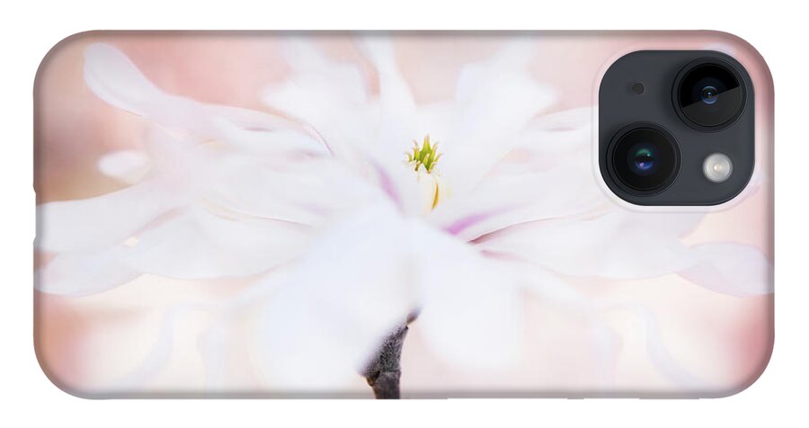 Star Magnolia iPhone 14 Case featuring the photograph Star Dancer by Kim Carpentier