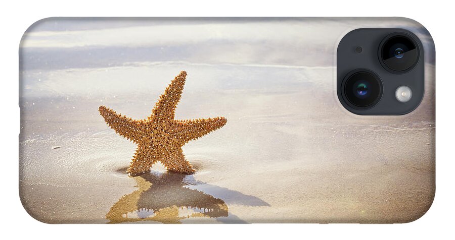 Starfish iPhone 14 Case featuring the photograph Starfish on the beach by Jane Rix