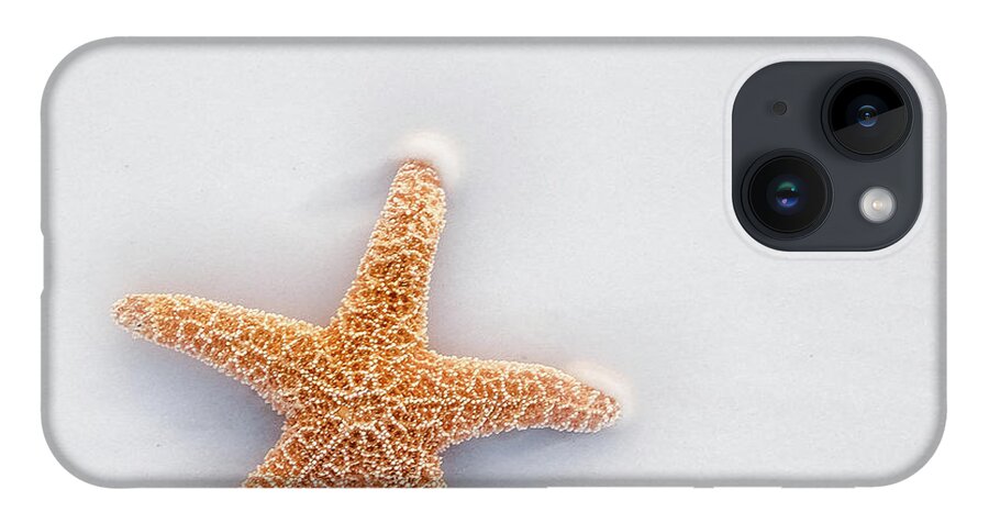 Destin iPhone 14 Case featuring the photograph Starfish by Robert Bellomy