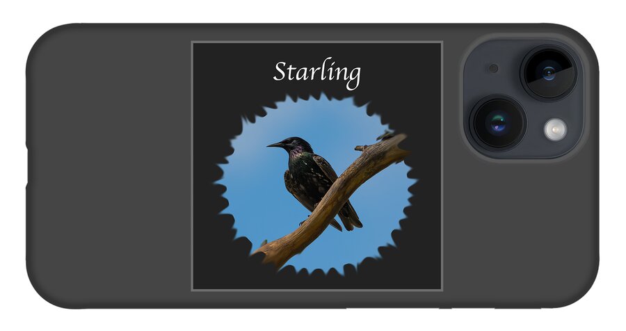 Starling iPhone 14 Case featuring the photograph Starling  by Holden The Moment